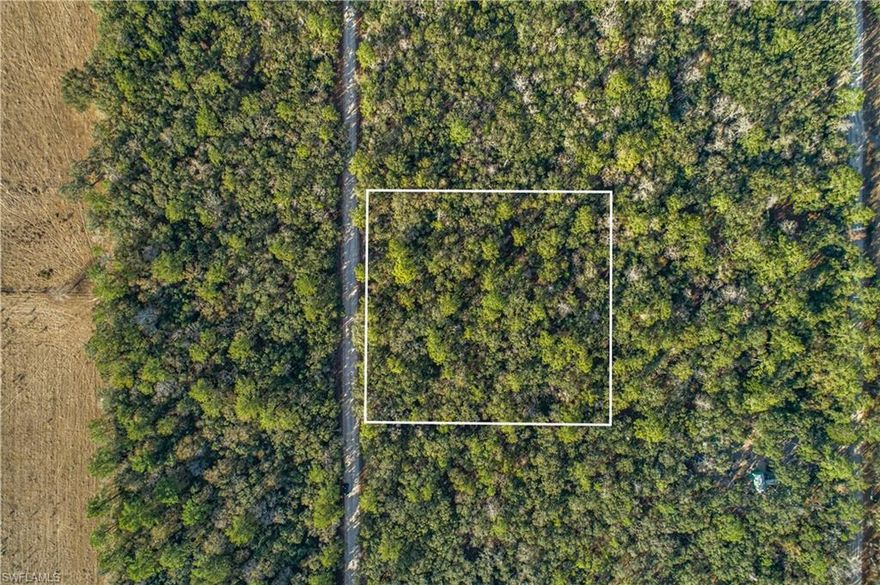 Dont miss your opportunity to own this vacant wooded lot perfect for your mobile, modular, or custom-built home. Land is approximately 2.18 acres in size, close to the Suwannee River in Branford, FL. Lot has Eastern rear exposure and is approximately 301' x 318'! NO Deed Restrictions or HOA Fees in this community so bring your RV & Boat. Quick access to County Rd 490, Hatchbend Conservation Area, and only a short drive to shopping and dining areas and more.  Well, Septic, & Electricity needed if improving the land. Bring the boat, fishing poles, & jet skis to enjoy the many water activities all close by. Quiet country area & inventory is LOW surrounding this property, call today to make this land yours!