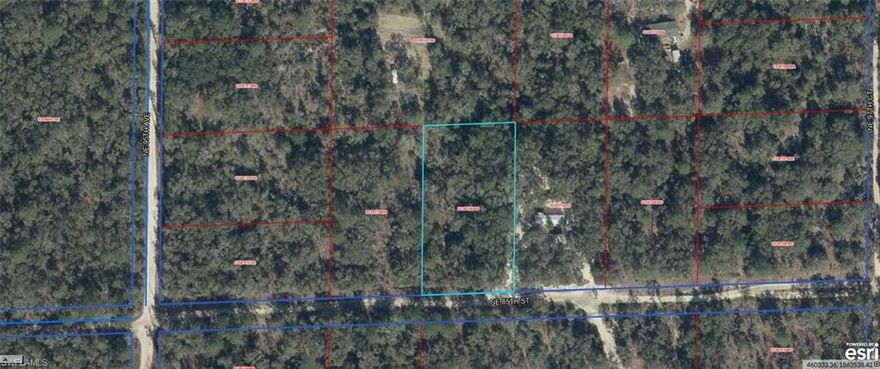 VACANT LOT IN BRONSON IN LEVY COUNTY!!!