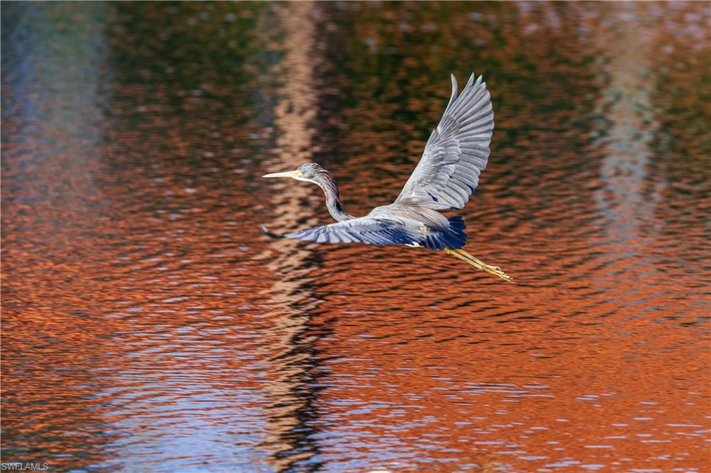 COLLIERS RESERVE - Residential