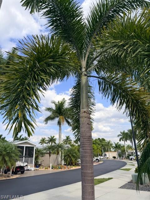 CYPRESS TRAIL RV RESORT - Land