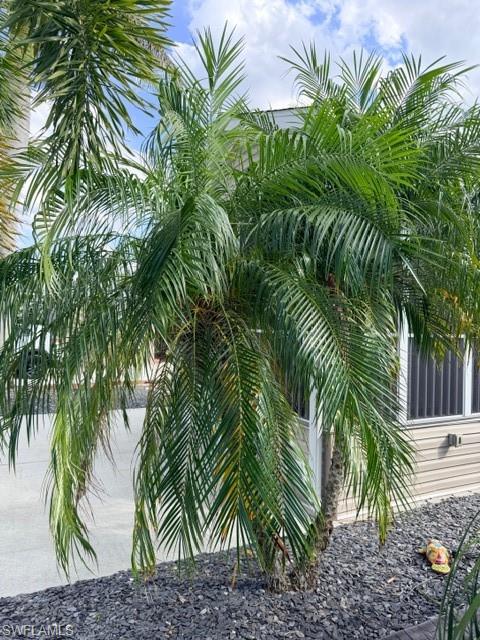 CYPRESS TRAIL RV RESORT - Land