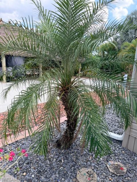 CYPRESS TRAIL RV RESORT - Land