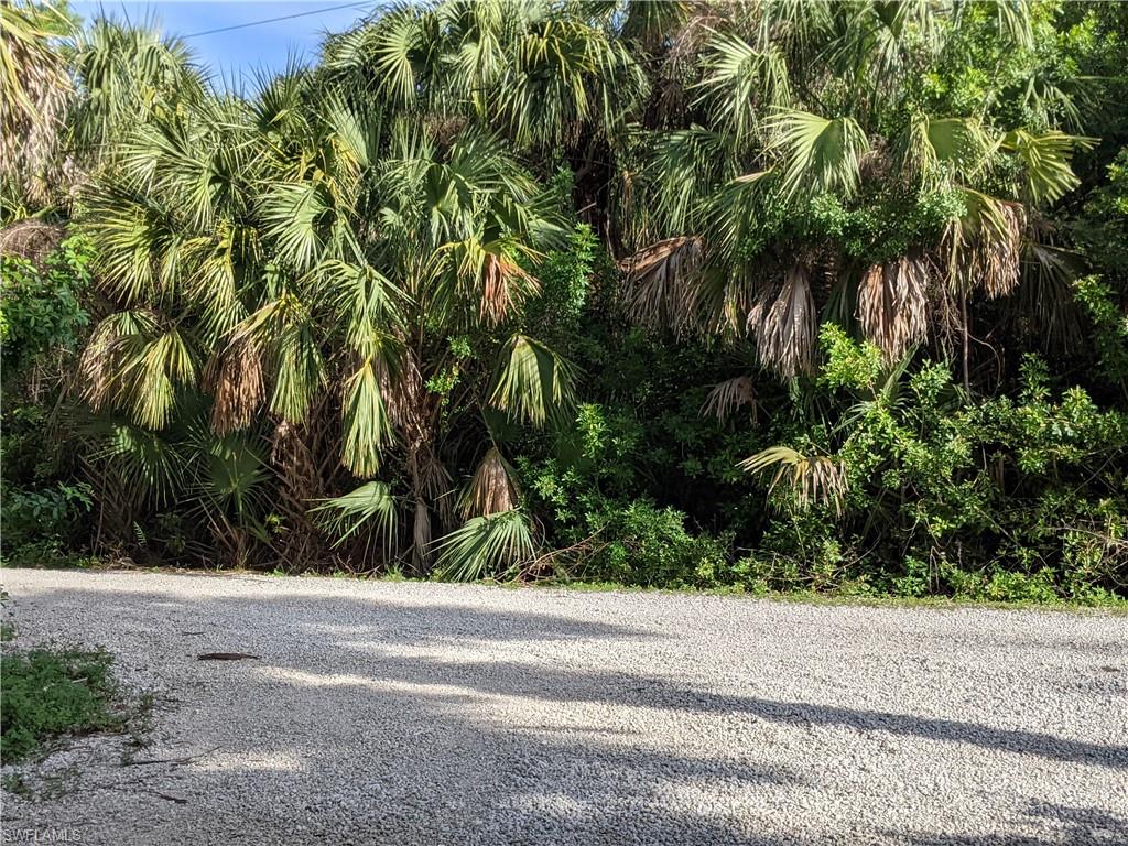 ACREAGE HEADER - Land