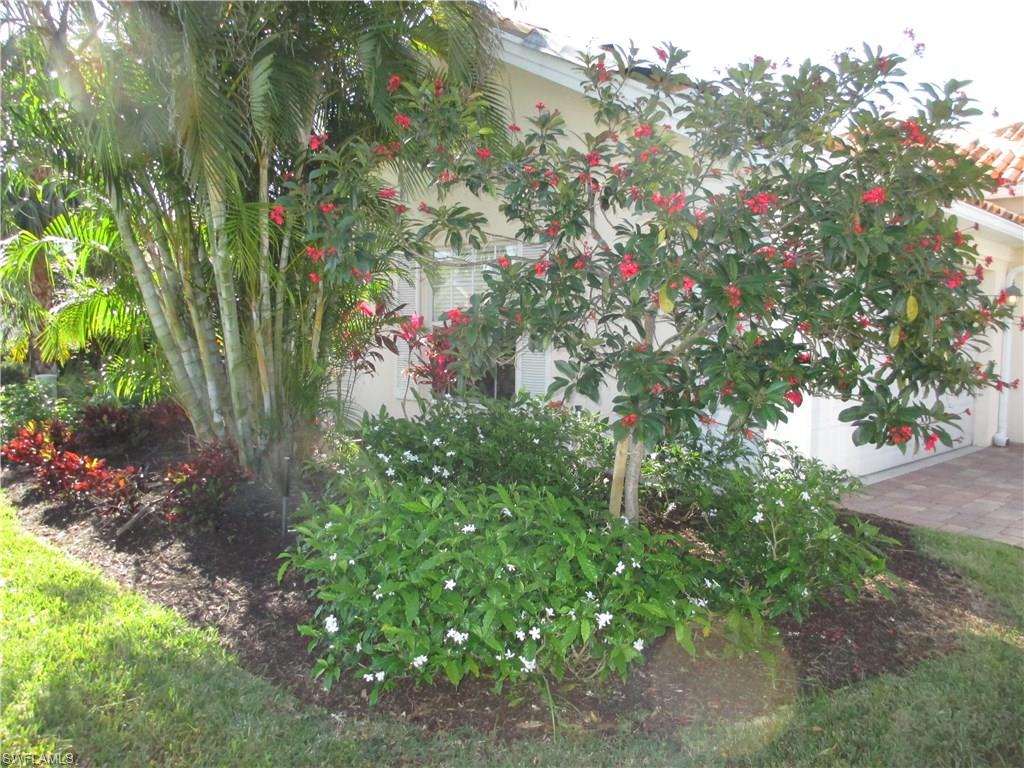 VILLAGE WALK - Residential