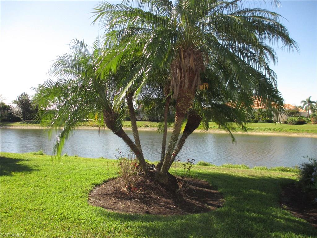 VILLAGE WALK - Residential