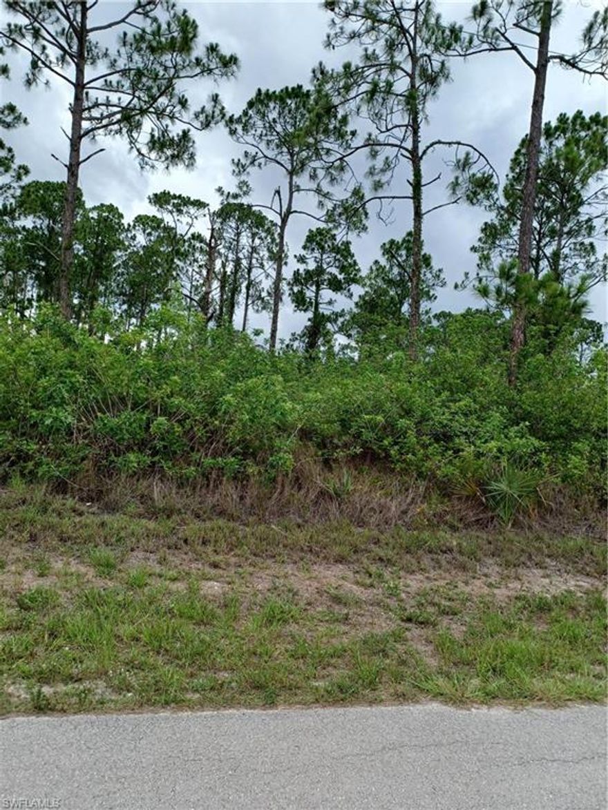 Build your home or invest in the future of this growing community. Located on a quiet street overlooking a canal yet close to SR80.