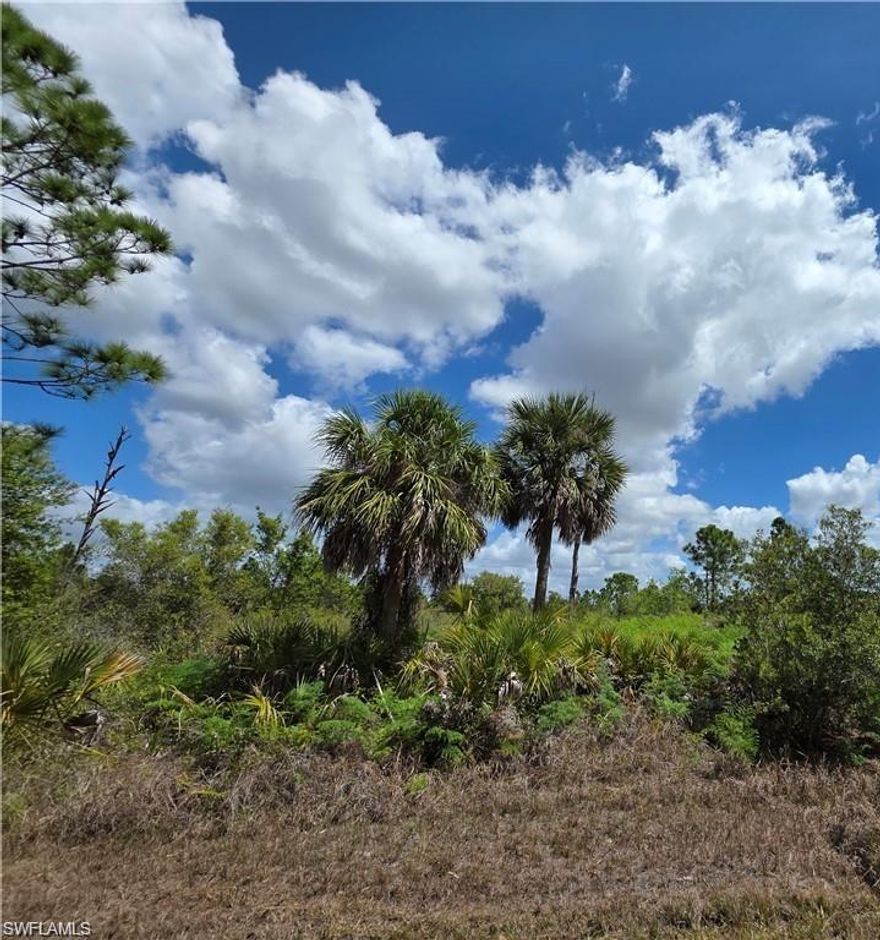 Build your dream home on this 10,000 sq ft homesite ideally located in the growing community of Port Charlotte. Enjoy easy access to US-41, making commutes to Sarasota or Fort Myers simple and convenient. This prime location puts you right in the heart of it all—just minutes from two MLB Spring Training stadiums, a wide variety of shopping and dining options, scenic public parks, and some of Southwest Florida’s most beautiful Gulf Coast beaches, all within a short 30-minute drive.

For builders and investors, this property presents a great opportunity in an area experiencing steady growth with strong demand for new construction—ideal for a spec home or long-term hold. Whether you're looking to build now or invest for the future, this property offers the perfect blend of location, lifestyle, and upside potential.