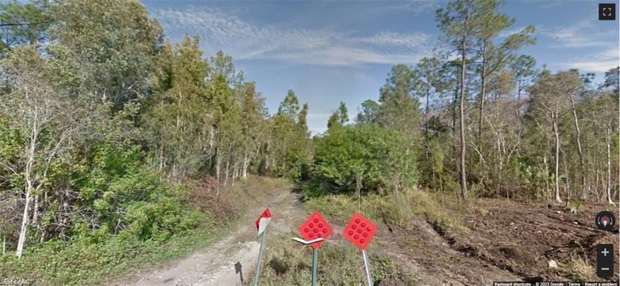 1.25 ac vacant lot at a very strategic area and nice neighborhoods, tranquility, of dirt access road, located in San Carlos Estates close to shops, restaurants and many more, no HOA, buyer is due diligence, needs surveys, 100% wetland needs permit, as-is, priced accordingly