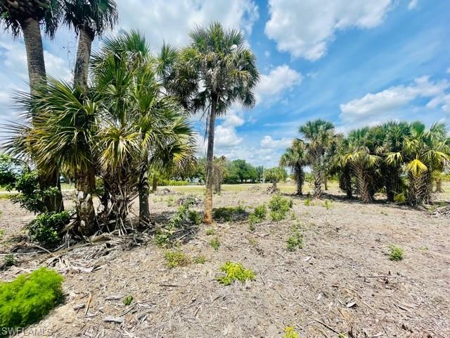 FORT MYERS SHORES - Land