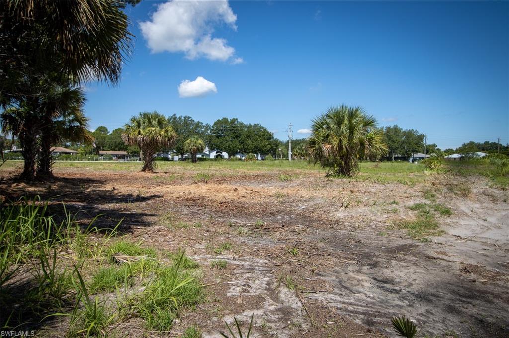 FORT MYERS SHORES - Land