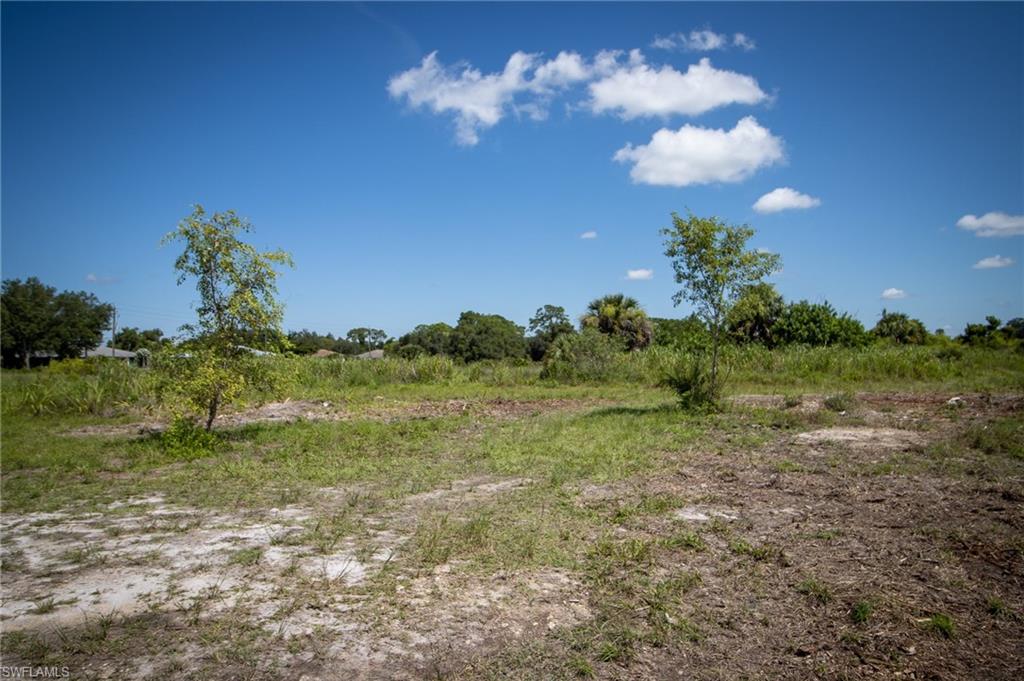 FORT MYERS SHORES - Land