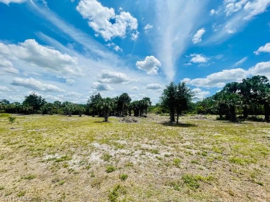 Prime location 1.6 acres with huge Lake ready to built your dream home on. Zoned AG2 so there are opportunities for less taxes and okay for animals or small farm. City water and high speed internet available. Located within 1 mile of The "New" Publix, Winn Dixie, Dining and Riverdale High School. Quick commute to the interstate. Boat Ramps and the Caloosahatchee River near by. Owner has other acreage available ranging from 1.2 acres up to 8 acres.