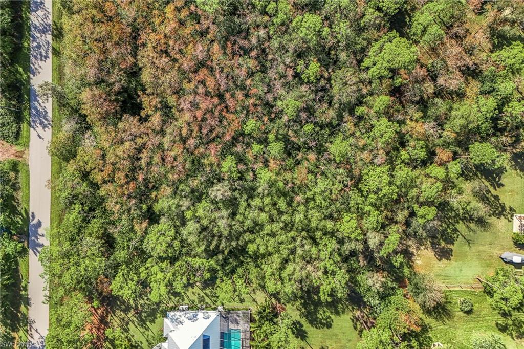 SAN CARLOS ESTATES - Land