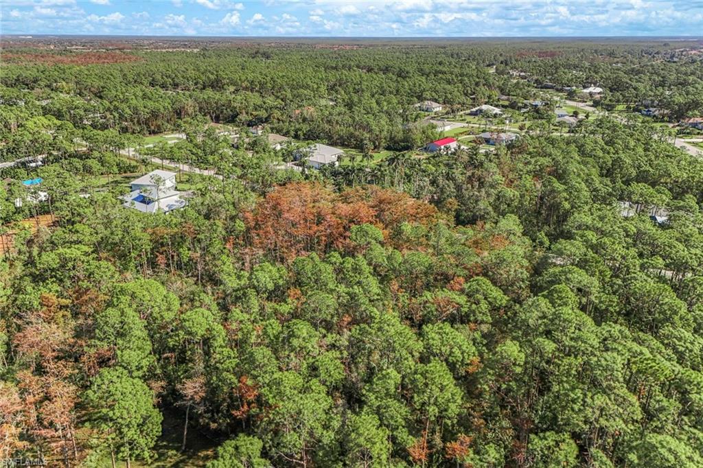 SAN CARLOS ESTATES - Land