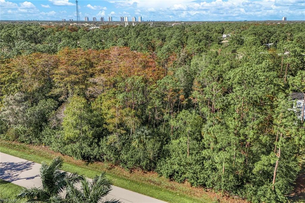 SAN CARLOS ESTATES - Land