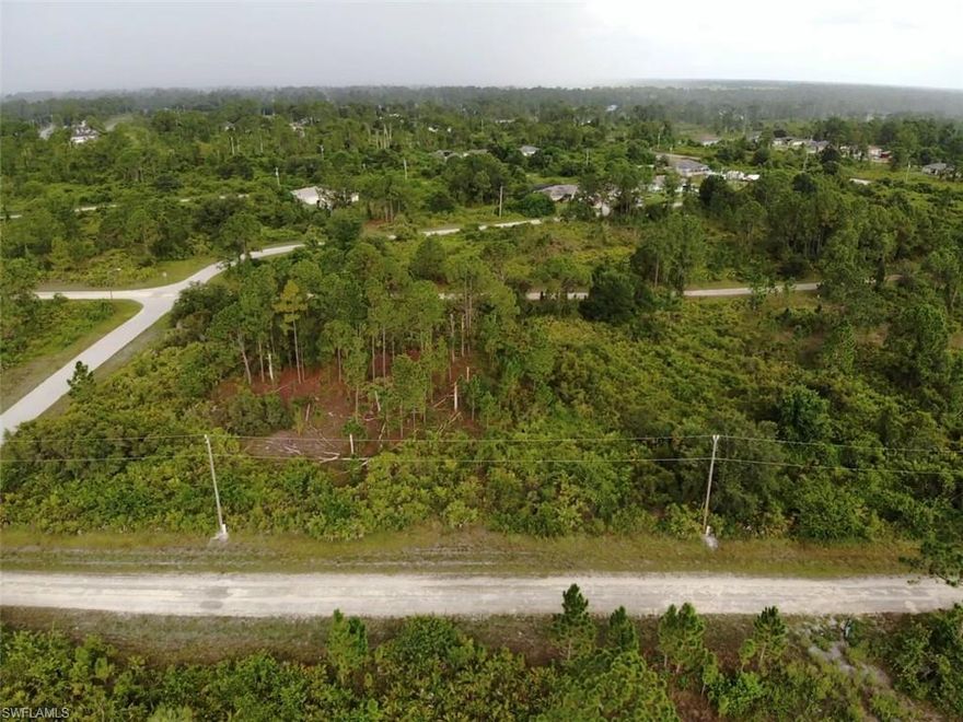 .24 ACRE COMMERCIAL LOT—Zoned C-2—Located in FEMA Flood Zone X which means no flood insurance required by a lender. The seller also has another lot listed nearby/down the road, MLS #223051876, 1155 BAYLISS ST E. Wonderful investment opportunity!