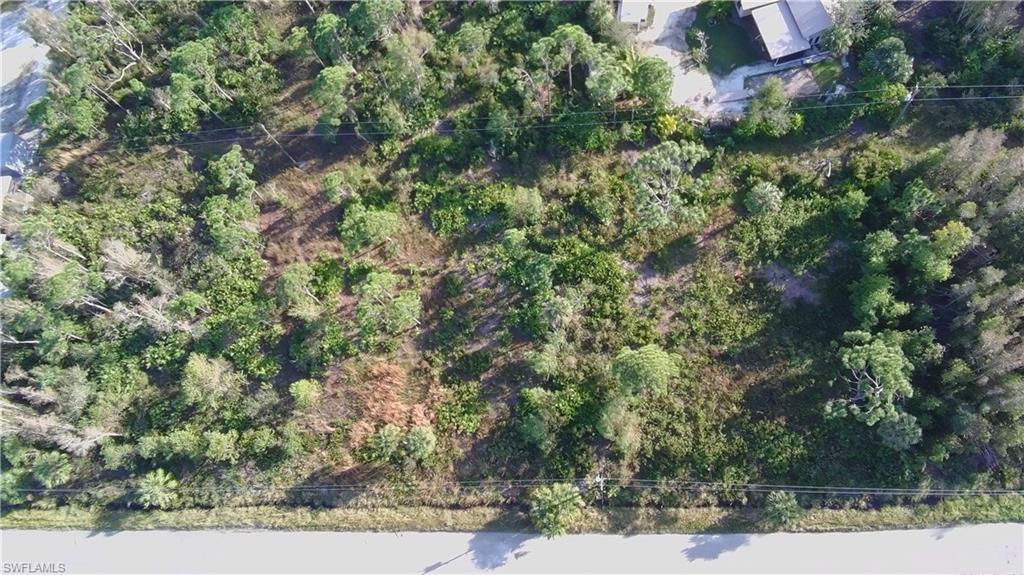 KREAMERS AVOCADO SUBD - Land