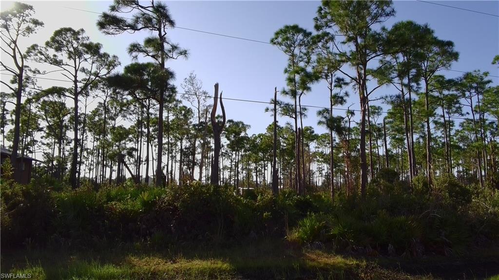 KREAMERS AVOCADO SUBD - Land