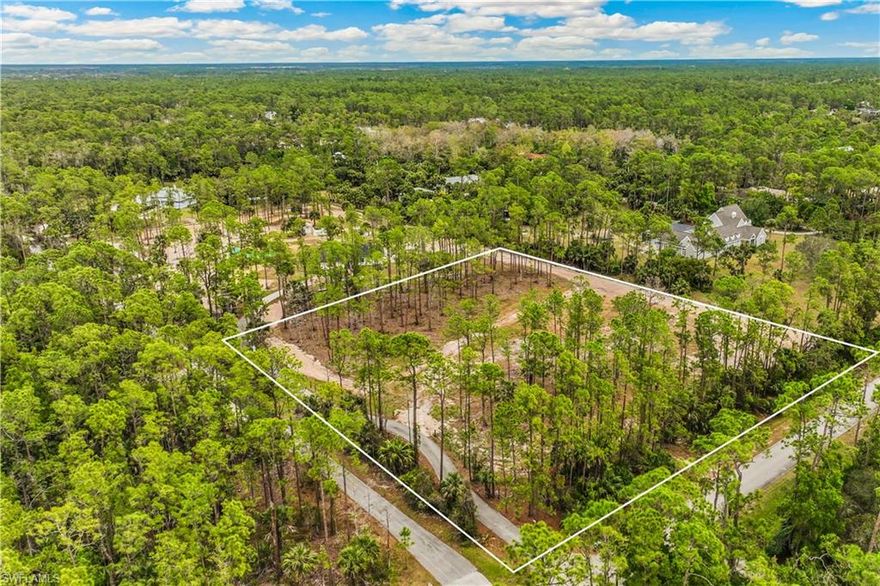 Updated Price Improvement!! This is the one! 2.82 acres, nearly square, the ENTIRE lot is X500 per flood map and 100% UPLAND per report. An an amazing opportunity to own an oversized lot in the beautiful Logan Woods Estates section of Naples. This nearly square lot has plenty of room to spread out and build the perfect home estate. Mostly cleared with some native trees, palms, and plants, which provide natural privacy. The lot is located on a dead-end street with low traffic volume. Logan Woods is ideally situated in town for easy access to downtown Naples, Gulf beaches, SWFL Airport and I-75. Enjoy town and country living at its best, with restaurants, shopping, and entertainment so close by! Recent survey and wetlands report available.