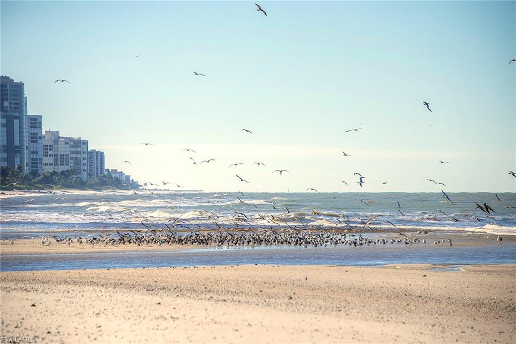 WATERFORD AT PELICAN BAY - Residential