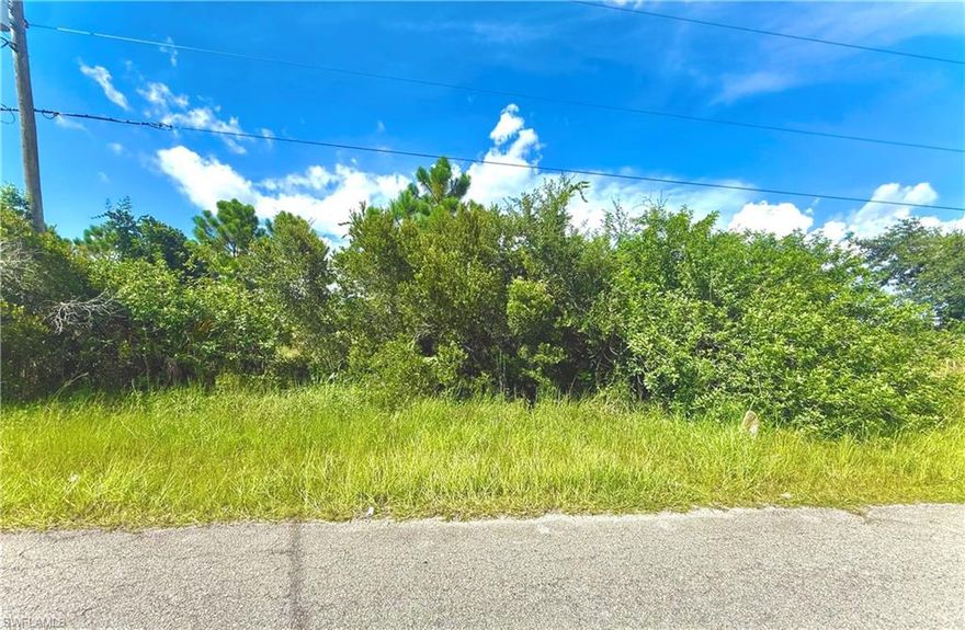 GREAT LOCATION! Unique SIDE BY SIDE lots located on a quiet paved street backed to a canal with utilities available just minutes from major amenities, and a quick commute in Fort Myers. The ADJACENT Lot 1229 belgrave st is also for sale with the potential to strap into 1/2 ACRE or build brand new homes side by side! Come build your DREAM HOME or INVEST today!