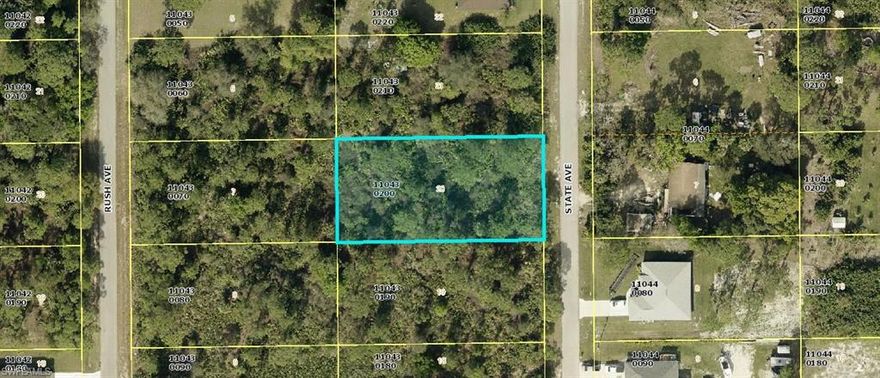 Half an ace, single family lot in a great location.  Build your custom home with space for a garden and a gazebo.
Lehigh is growing very rapidly so buy now and build ater.