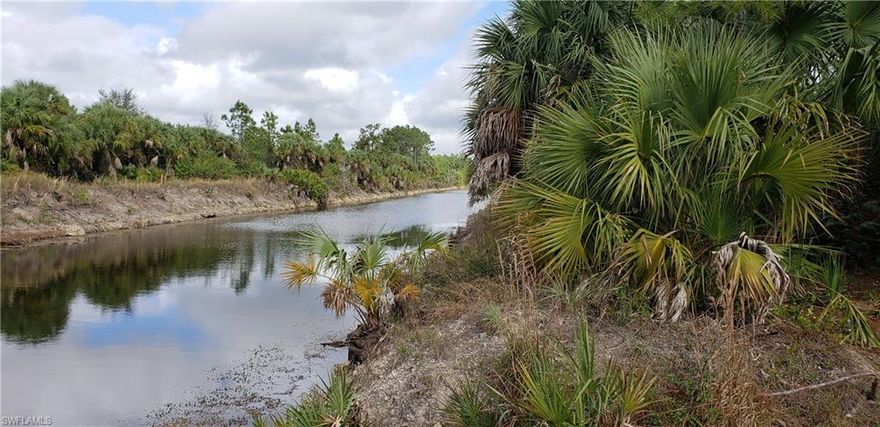 AT THE END ON THE STREET ON A BEAUTIFUL WIDE CANAL. A 3.43 ACRE TRACT WHERE YOU CAN BUILD A HOME AND A GUEST HOUSE. THERE IS ENOUGHT FILL DIRT FOR YOUR HOME AND SOME TO SELL. YOU CAN BOAT AND FISH IN THIS LARGE CANAL. THERE IS AN ELEMENTARY SCHOOL JUST 2 STREETS OVER ON 10TH