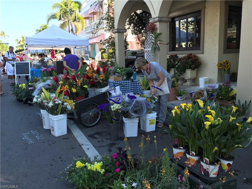 OLDE NAPLES - Residential