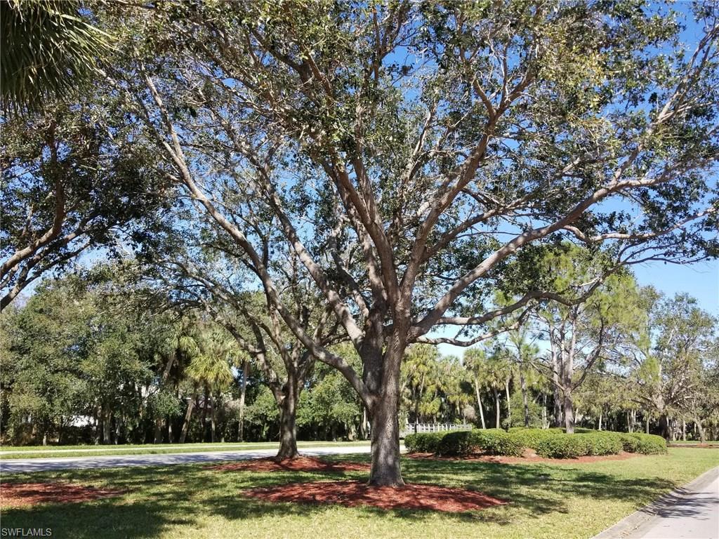 VILLAGES AT COUNTRY CREEK - Residential