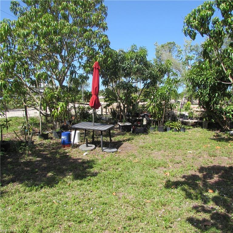 KREAMERS AVOCADO SUBD - Land