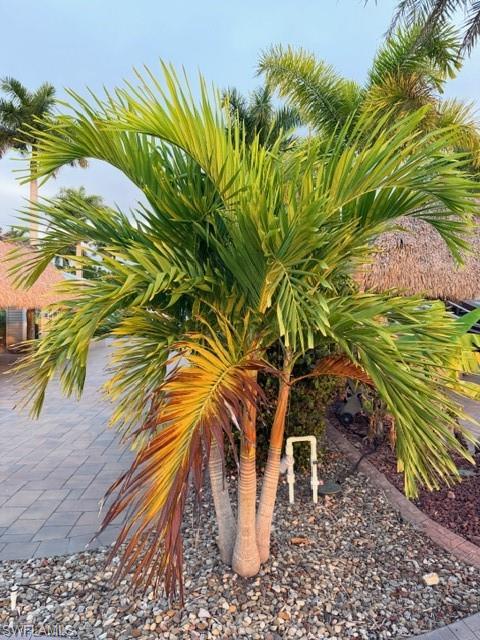 CYPRESS TRAIL RV RESORT - Land