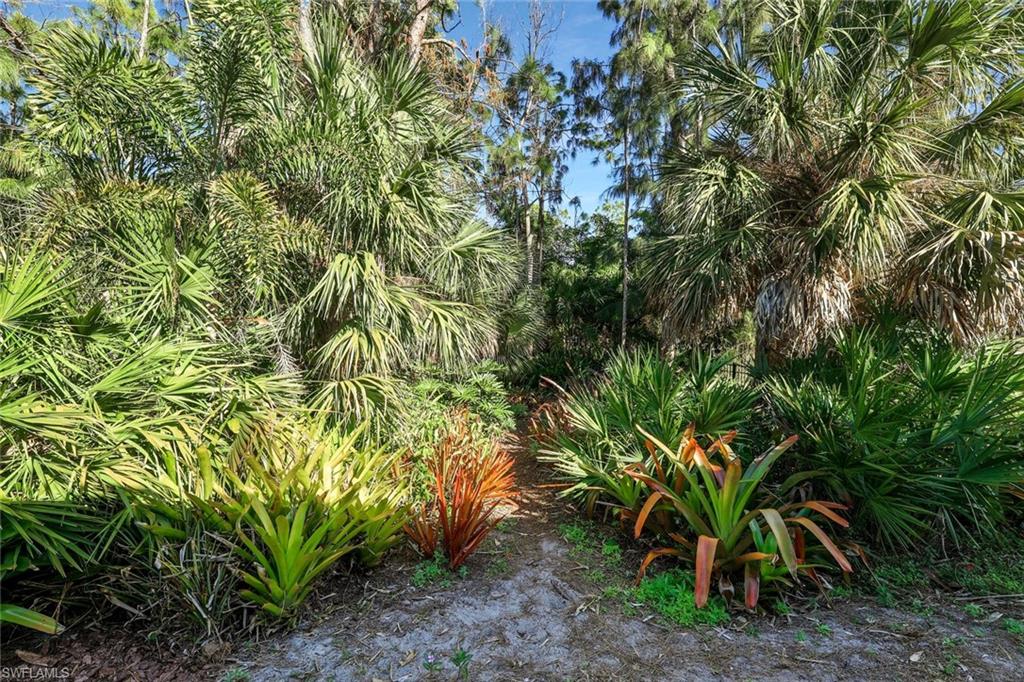 SAN CARLOS ESTATES - Residential