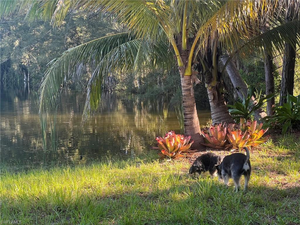 SAN CARLOS ESTATES - Residential