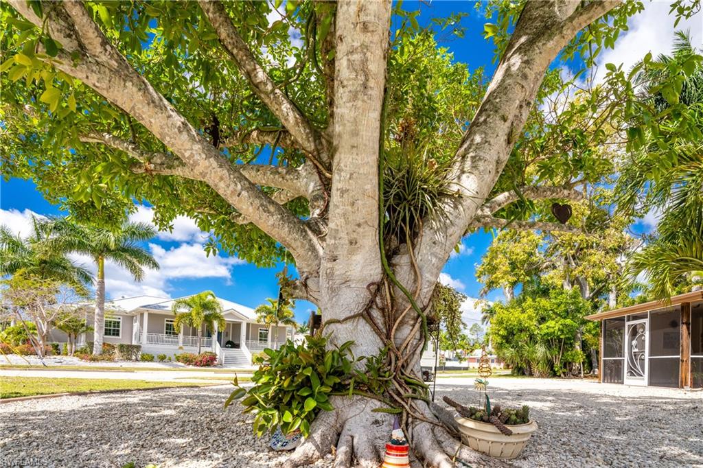 PUNTA GORDA - Residential