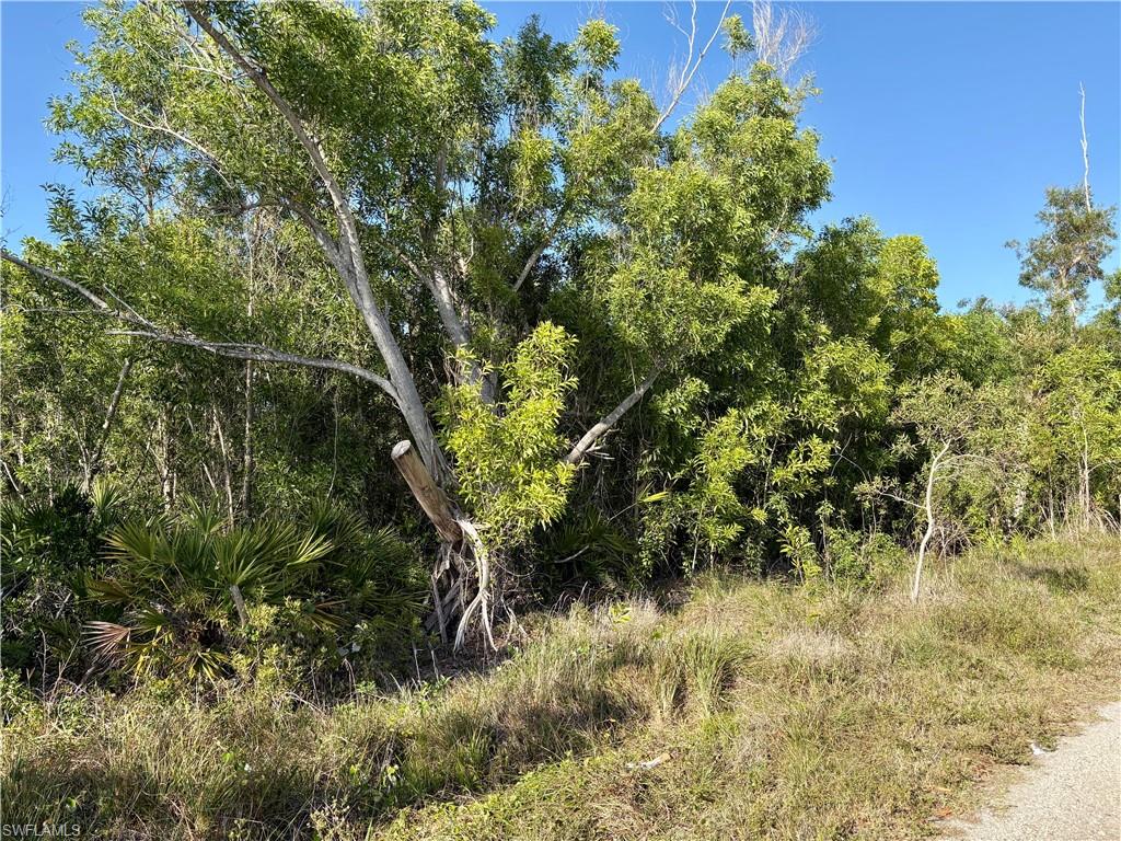Listing image 8