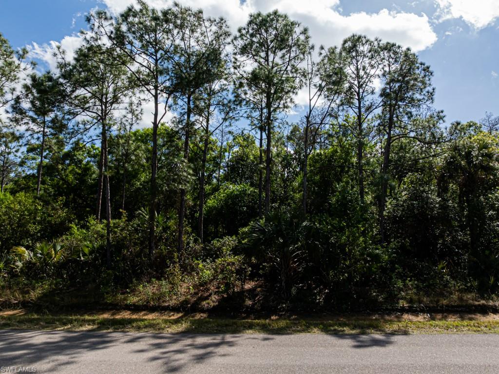 GOLDEN GATE ESTATES - Land