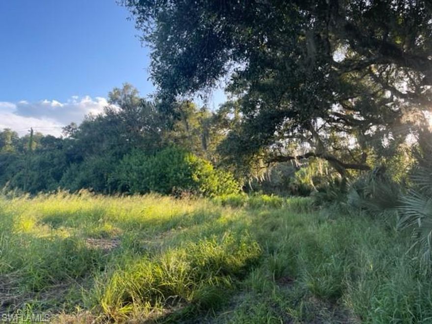 10+/- cleared acres on beautiful Jack's Branch. Runs approximately to the center line of Jack's Branch. The property was formerly orange grove but has been cleared except for mature oaks and trees along the creek. Fenced along east and west sides. Great location, approximately 25 minutes from I-75, 45 minutes from Southwest Florida International Airport (RSW), and 35 minutes from the new Babcock Ranch development. Zoned AG-2 which allows for residential. Lots of uses. Great for a home, getaway, small farm or ranch.