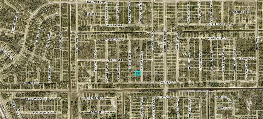 Excellent opportunity to build your new home in an area with other new construction homes being built.  Lot right next to this one at 846 Andover is also available. Just a short drive to Fort Myers and Punta Gorda airports, two spring training facilities and beaches!