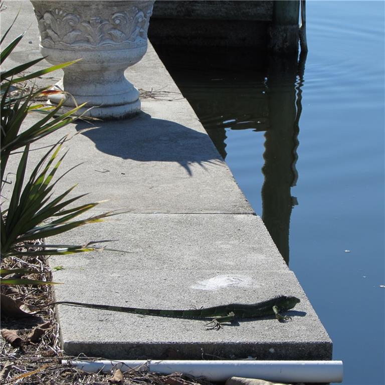 PINE ISLAND COVE - Land