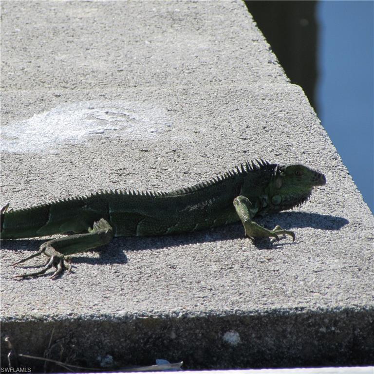 PINE ISLAND COVE - Land