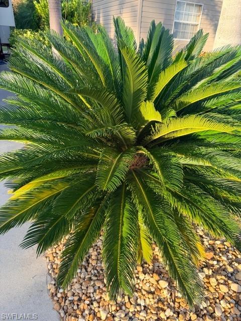 CYPRESS TRAIL RV RESORT - Land