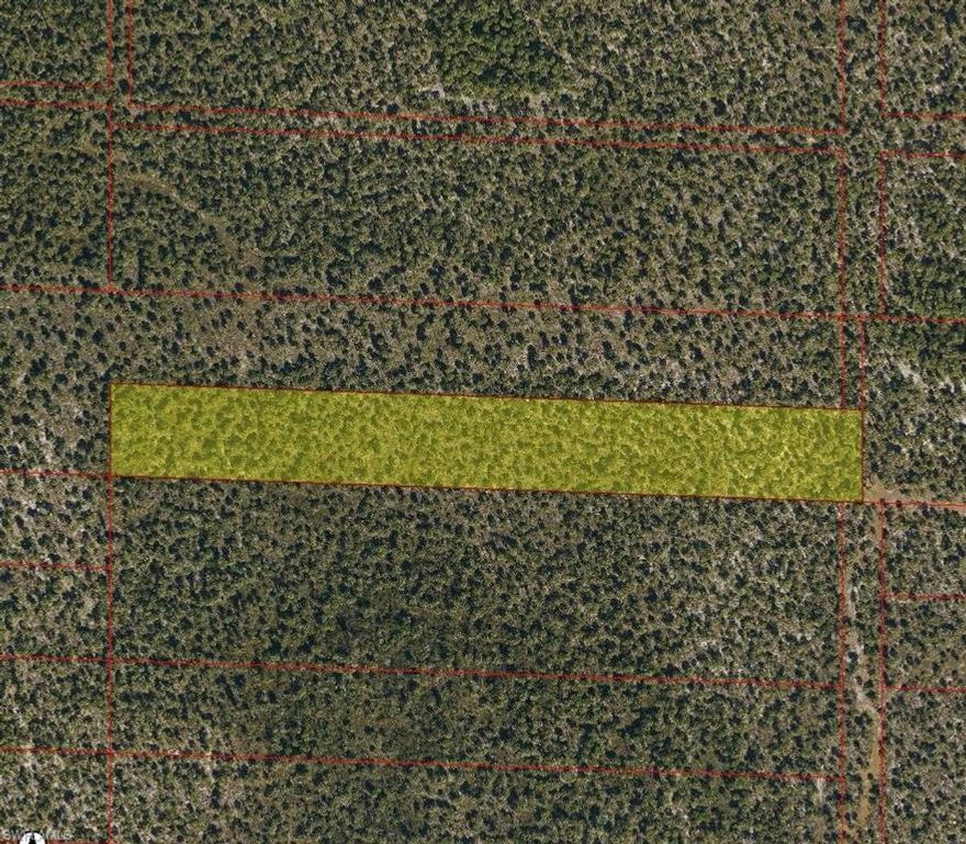 Discover the perfect opportunity to build your dream estate on this 5-acre vacant lot in Naples. Tucked away in a peaceful, natural setting, this expansive parcel offers endless possibilities—whether you envision a private retreat, equestrian property, or custom luxury residence. With ample space to design exactly what you want, you’ll enjoy the freedom and privacy that only large acreage can provide. Located just a short drive from Naples’ shopping, dining, beaches, and everyday conveniences, this rare offering blends tranquility with accessibility. Create your own slice of paradise in one of Southwest Florida’s most desirable areas.