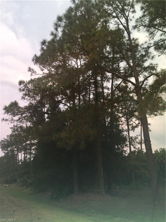 GOLDEN GATE ESTATES - Land