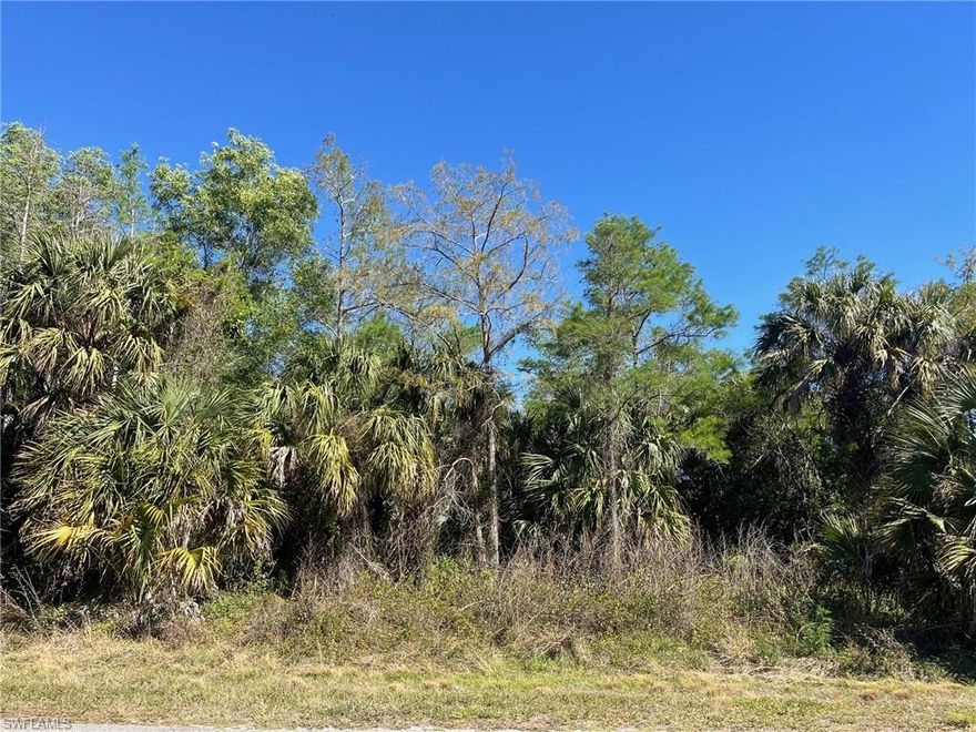 Price reduced 20,000! Enjoy the peaceful, country lifestyle of Golden Gate Estates, just minutes from the splendor and beautiful beaches of Naples, Florida. Build the home of your dreams on this 2.27 acre property with a variety of beautiful tall trees. Convenient location off Everglades Blvd just 2 blocks south of Golden Gate Blvd. Recent wetland determination attached indicates both uplands and wetlands present, with wetland quality at low/medium quality. Zoning allows 2 horses per acre. Location convenient to schools and shopping.