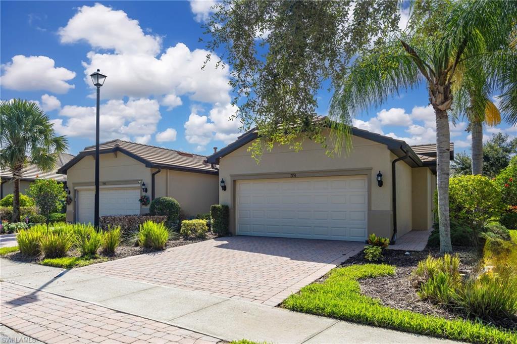 7156 Live Oak DR