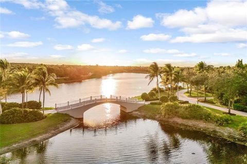 28839 Vermillion LN BONITA SPRINGS FL 34135