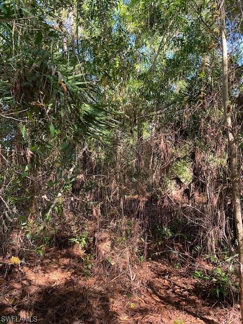 GOLDEN GATE ESTATES - Land