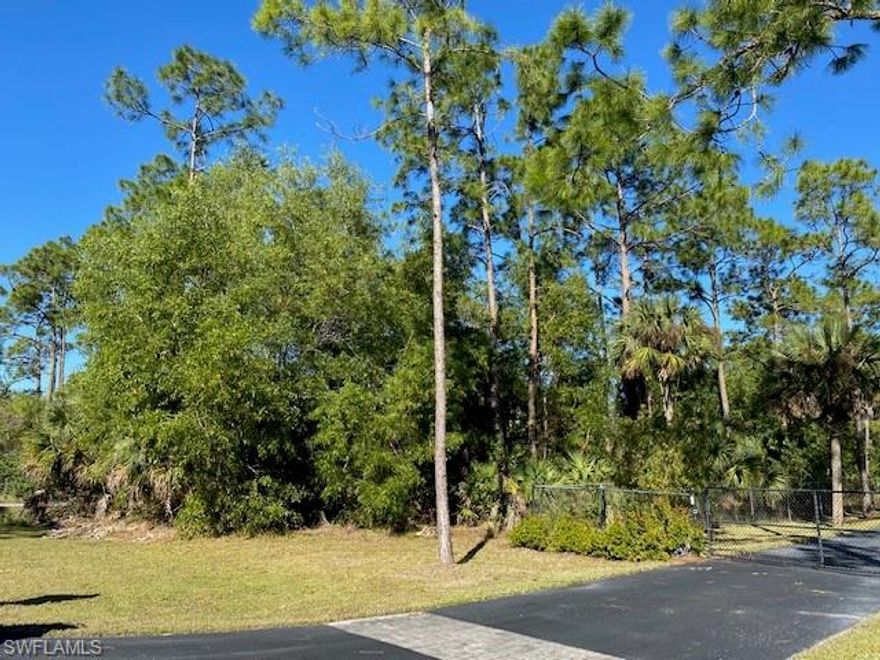 Tremendous opportunity to build a new home on this heavily wooded lot!  Extremely deep lot can afford privacy as desired.