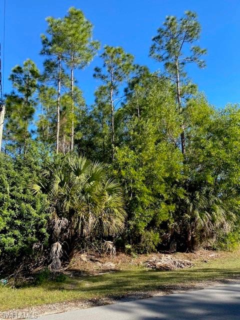 GOLDEN GATE ESTATES - Land