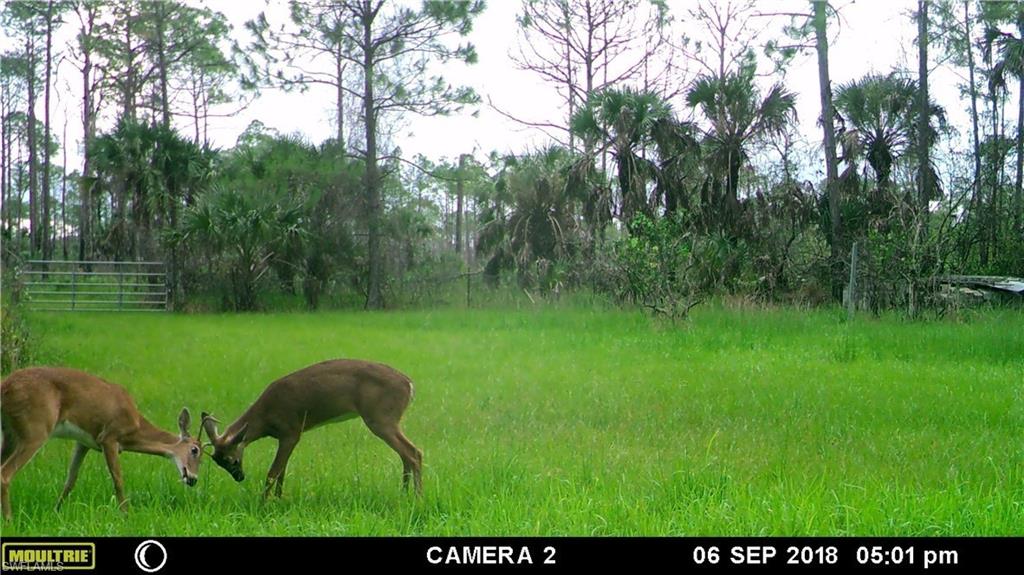 ACREAGE HEADER - Land